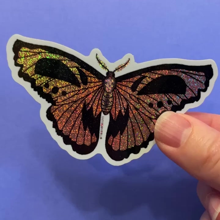 Halloween Moth Sticker
