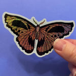 Load and play video in Gallery viewer, Halloween Moth Sticker
