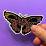 Load image into Gallery viewer, Halloween Moth Sticker
