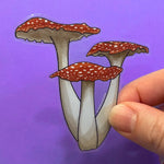 Load image into Gallery viewer, Red Capped Mushroom Sticker
